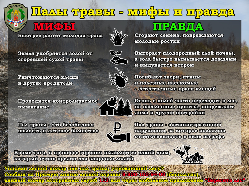 На Смоленщине растет класс пожарной опасности.